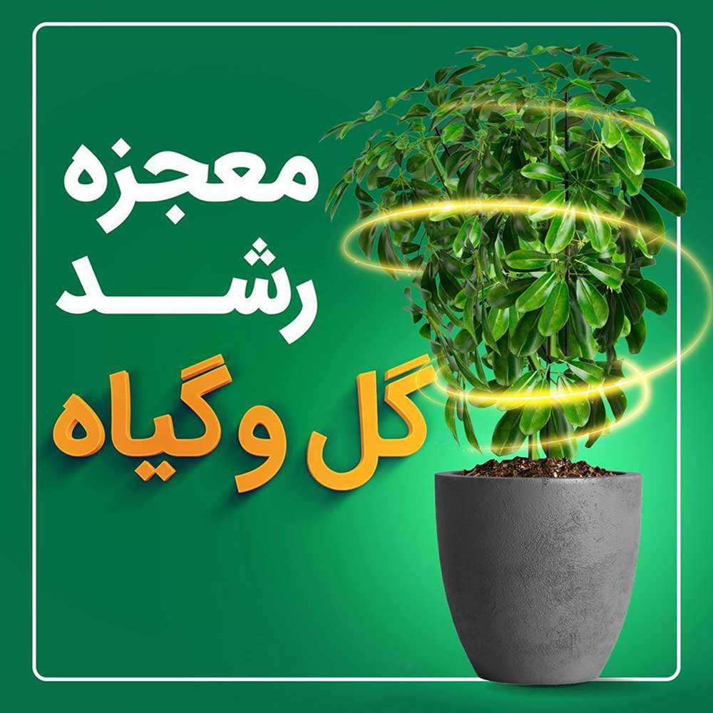 معجزه رشد گیاهان با آب اکسیژنه