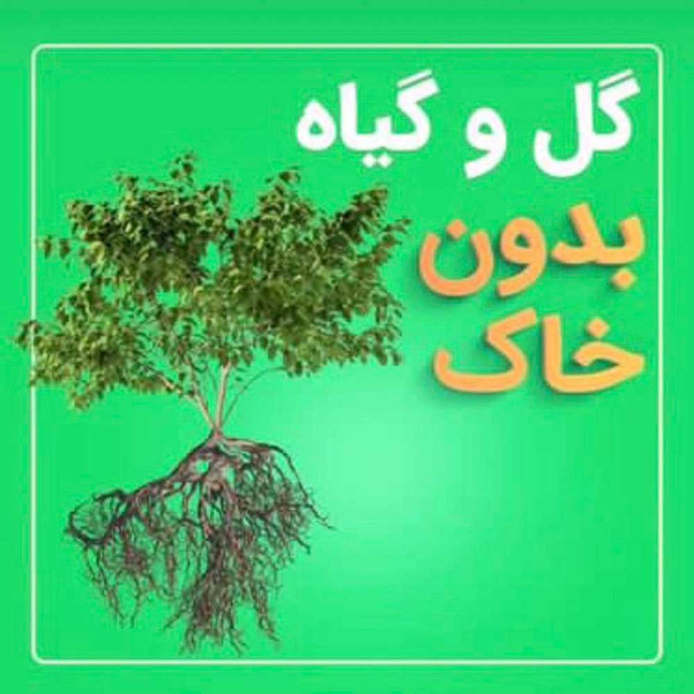 ویدیو آموزشی کشت هیدروپونیک