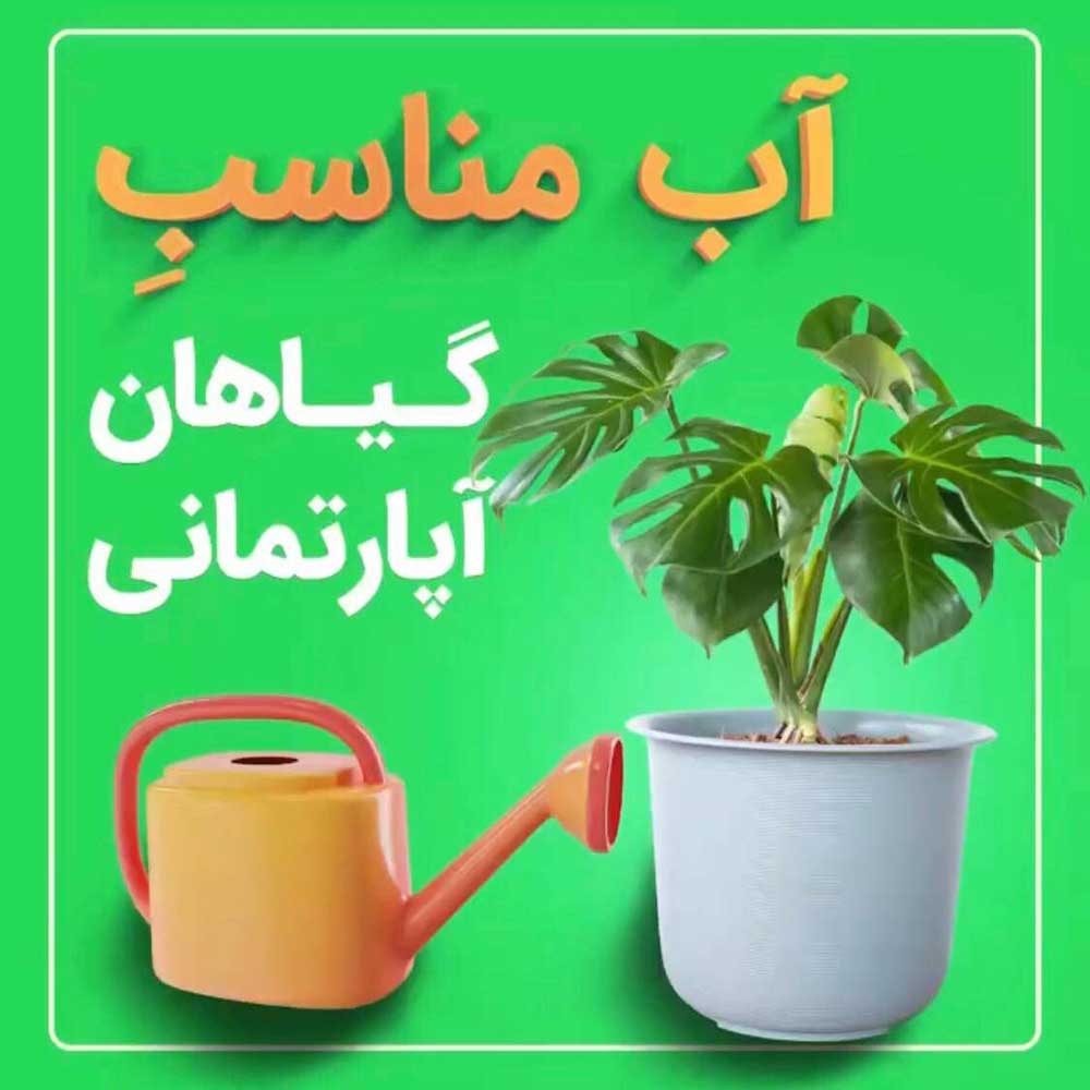 آب مناسب گیاهان آپارتمانی