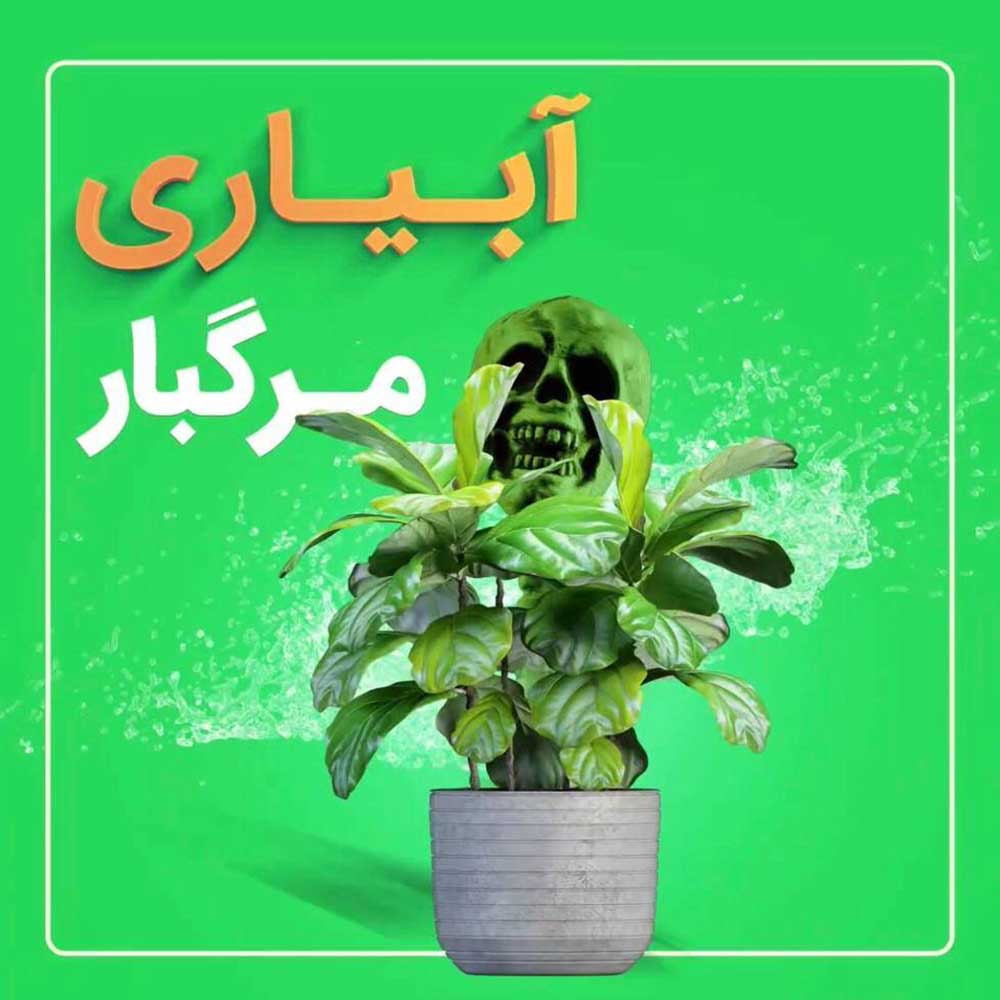 آبیاری مرگبار