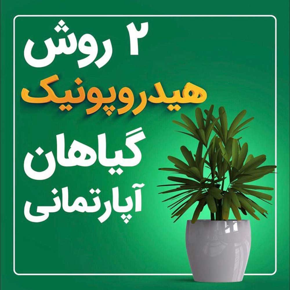 هیدروپونیک گیاهان آپارتمانی